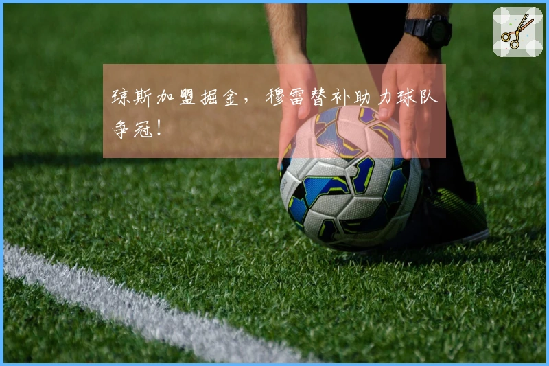 琼斯加盟掘金，穆雷替补助力球队争冠！